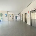Gemelos 22-2-17 * Benidorm